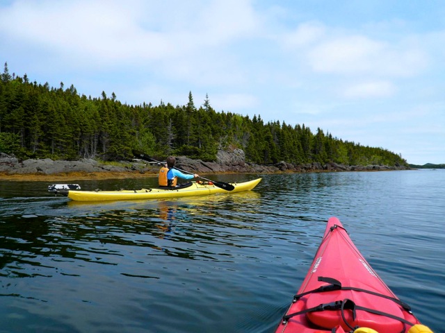 Sea kayaking doesn't get much better than this