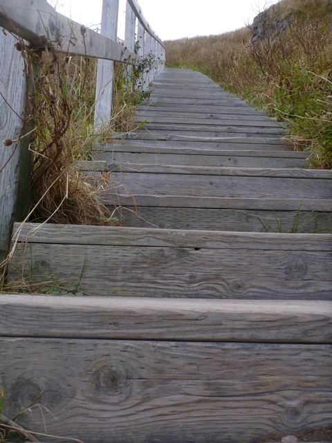 The Dreaded 100 Stairs on Signal Hill
