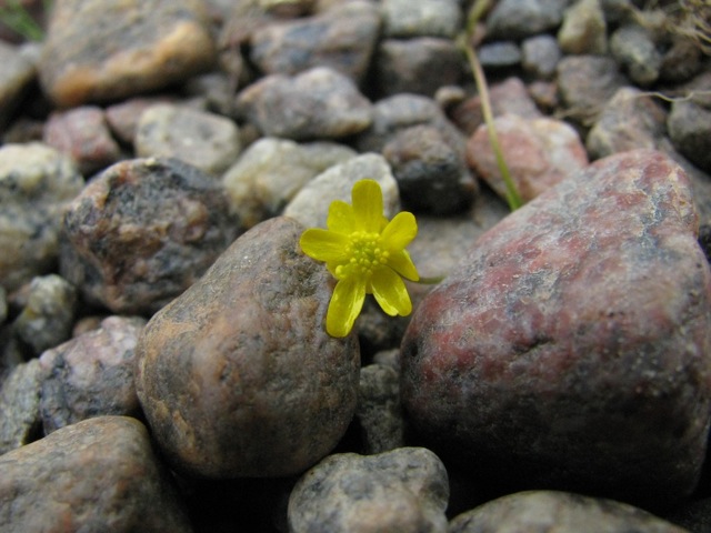 notakwanon river labrador marians photos 76