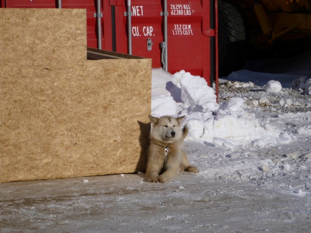 greenland 2012 ta 11